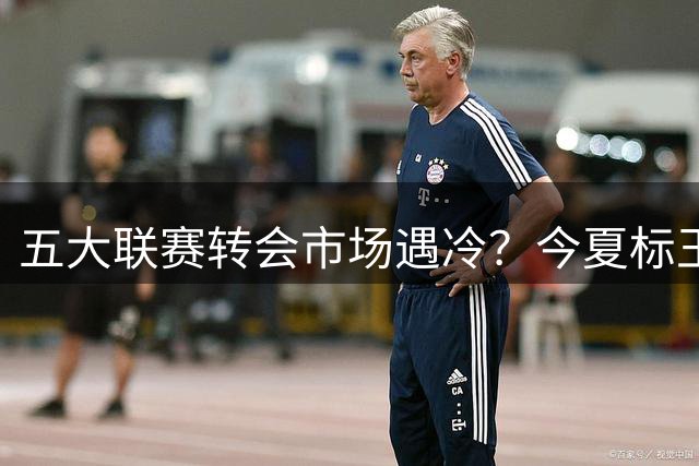 五大联赛转会市场遇冷？今夏标王仅7500万欧创近年新低