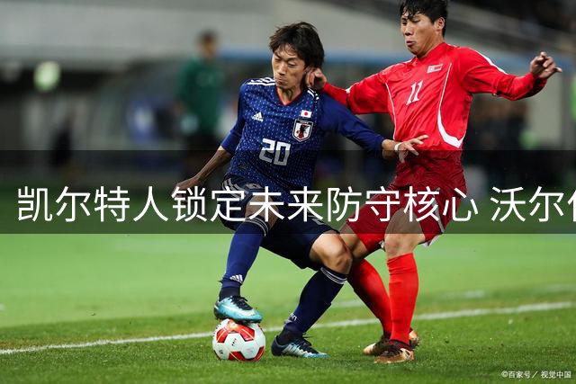 凯尔特人锁定未来防守核心 沃尔什获3年长约续写绿军青训传奇