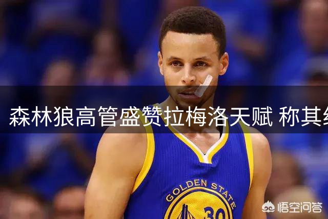 森林狼高管盛赞拉梅洛天赋 称其组织能力被世人忽视