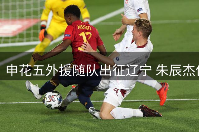 申花五外援随队出征辽宁 朱辰杰伤情成关键变数